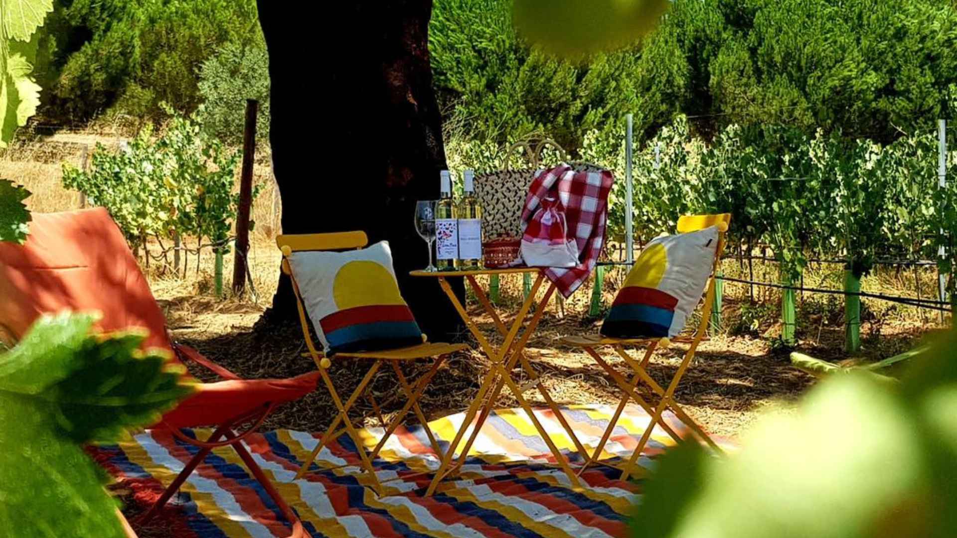 Herdade Canal Caveira