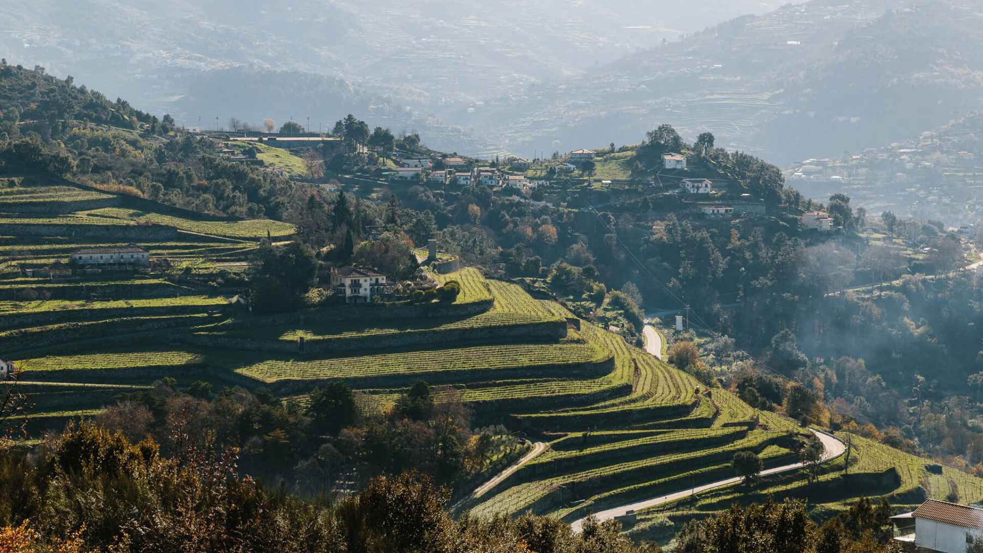 A&D Wines - Quinta de Santa Teresa