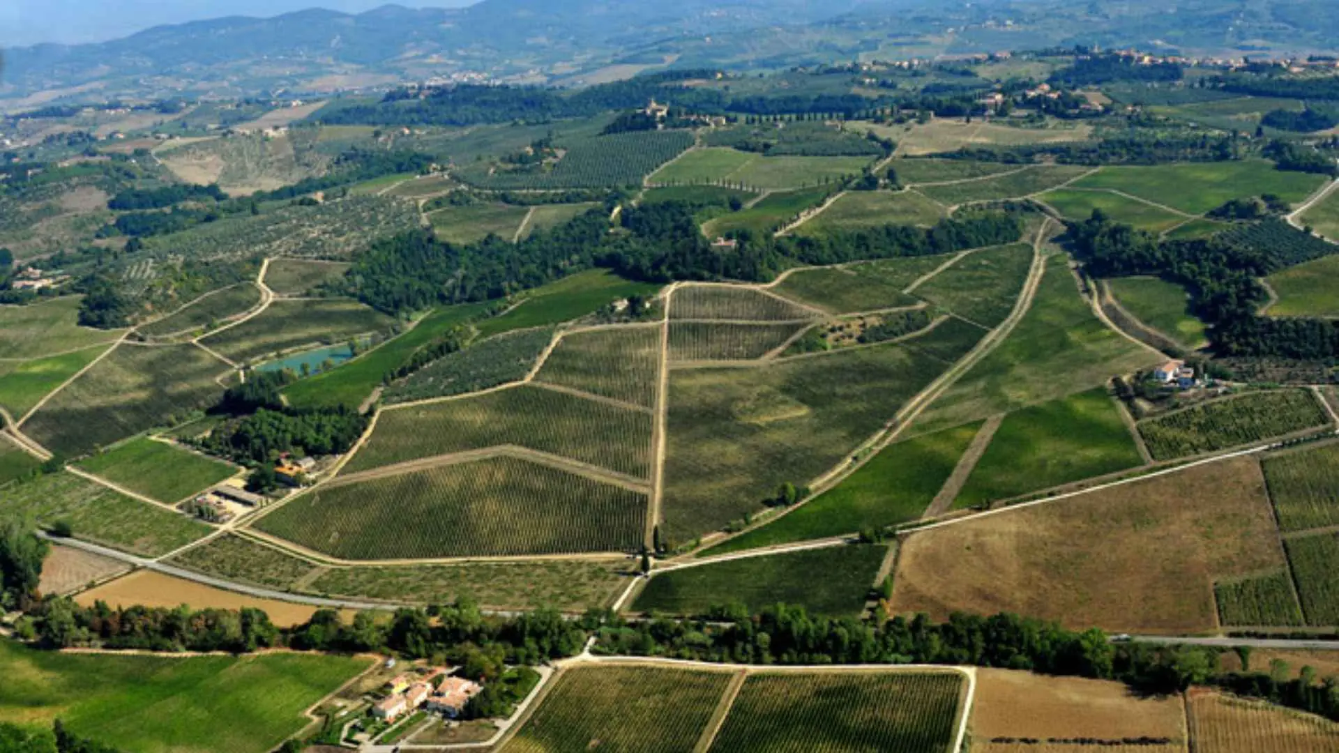 Conte Guicciardini Castello Di Poppiano