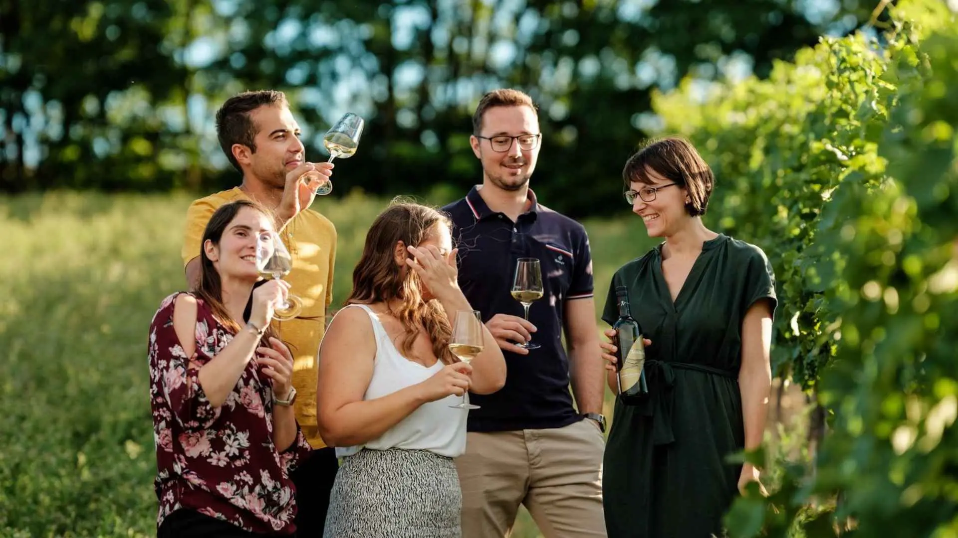 Weingut Neustifter