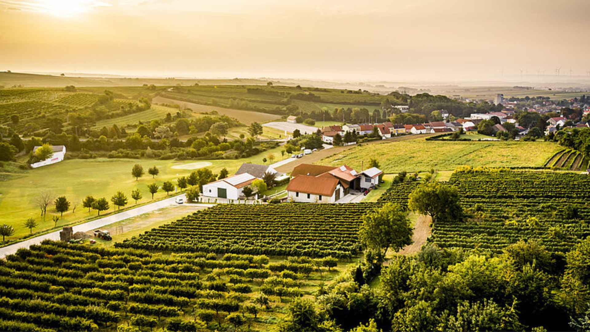 Weingut Neustifter