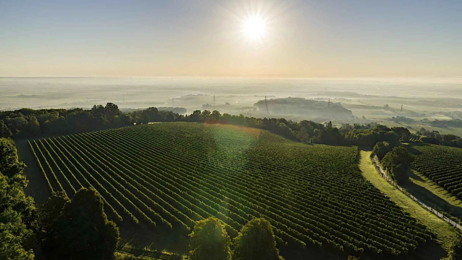 Weingut Christ