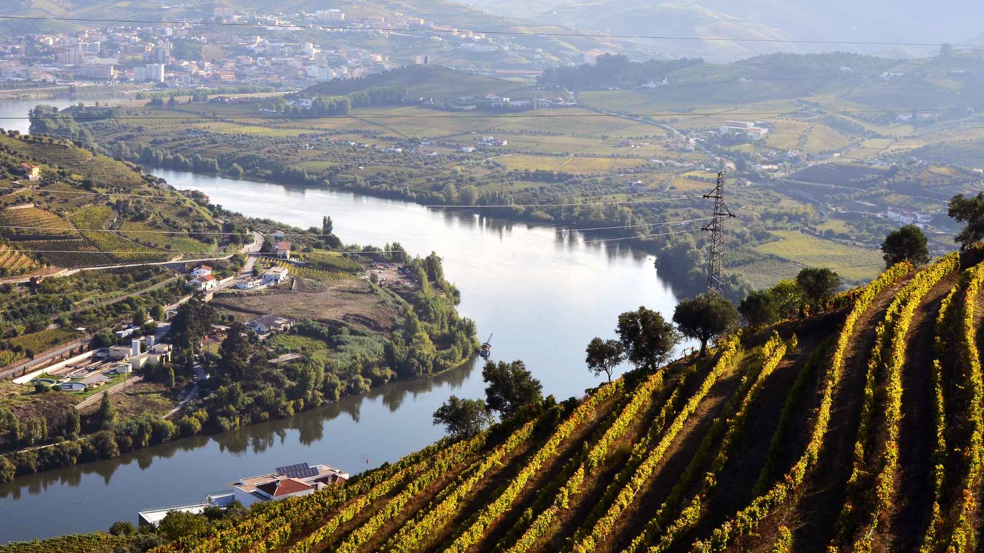 Douro