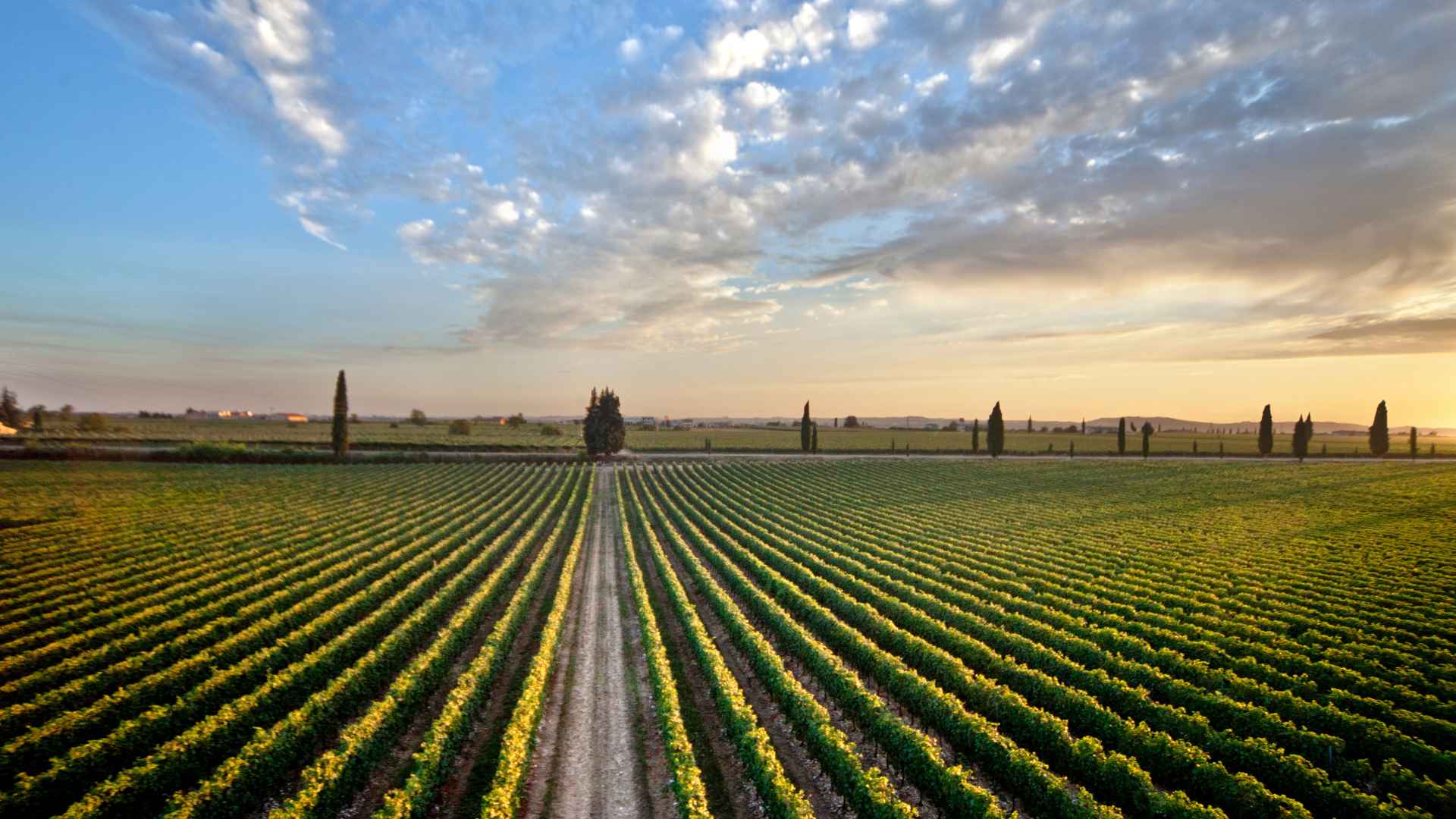 Società Agricola Rino Sartori