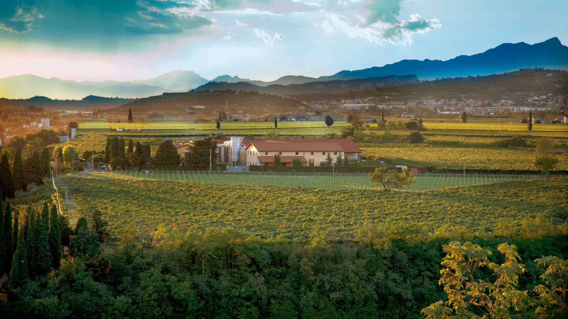 Società Agricola Rino Sartori