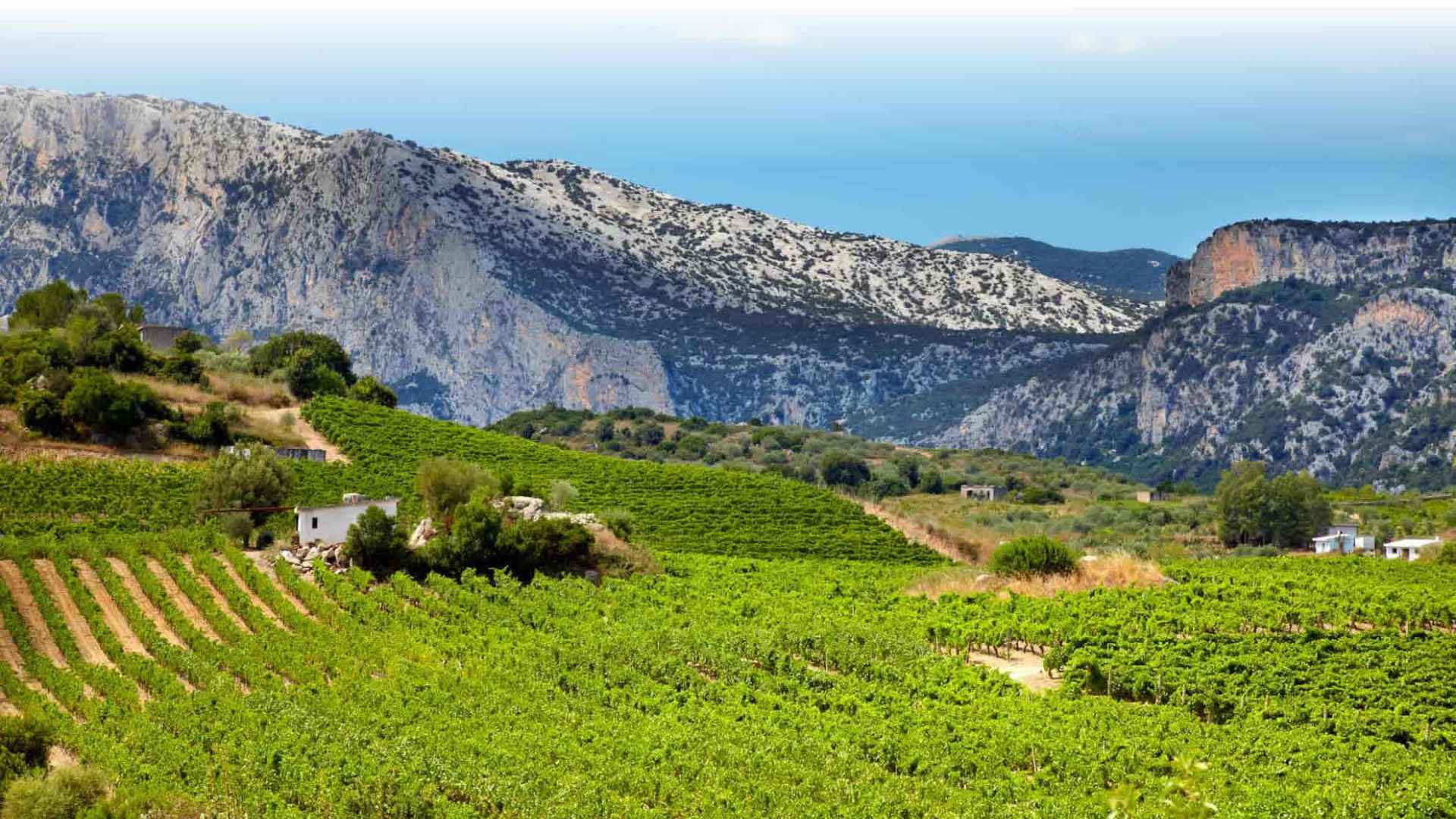 Cantina Berritta Dorgali