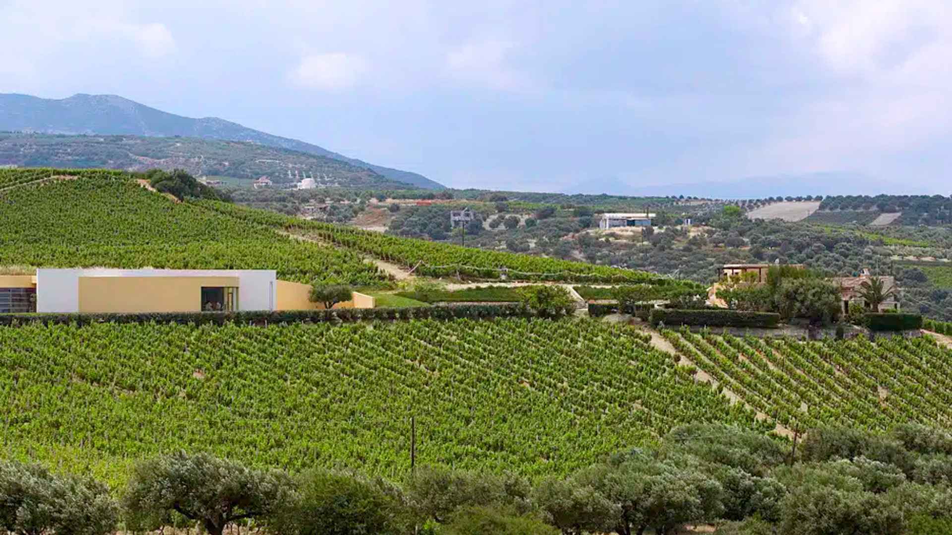 Scalarea Estate