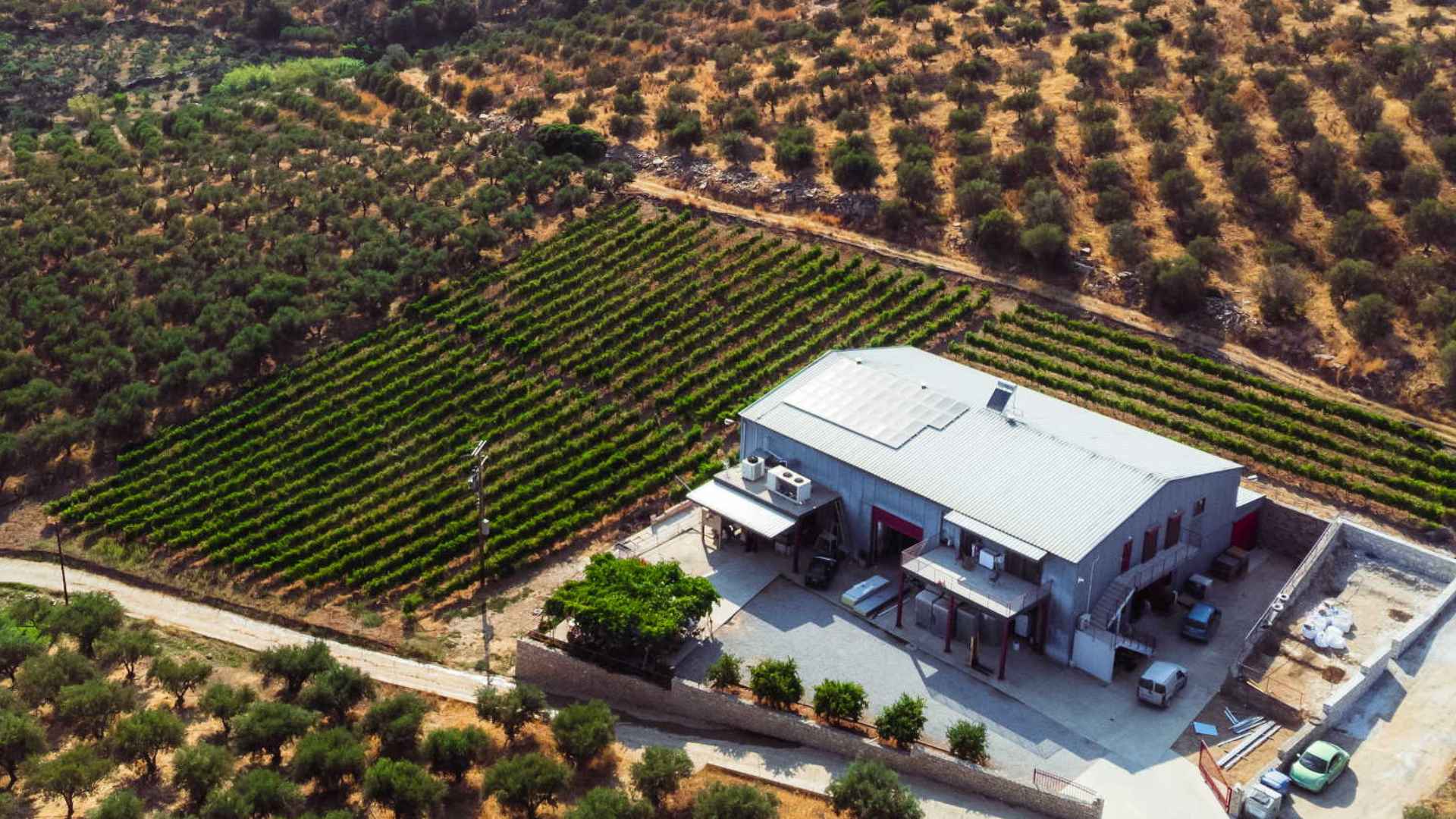 Klados Winery