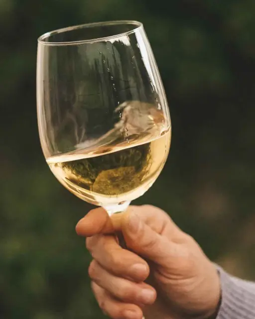 A glass of white wine, with the wine being swished around. The glass is in focus and the rest of the image is intentionally blurred.