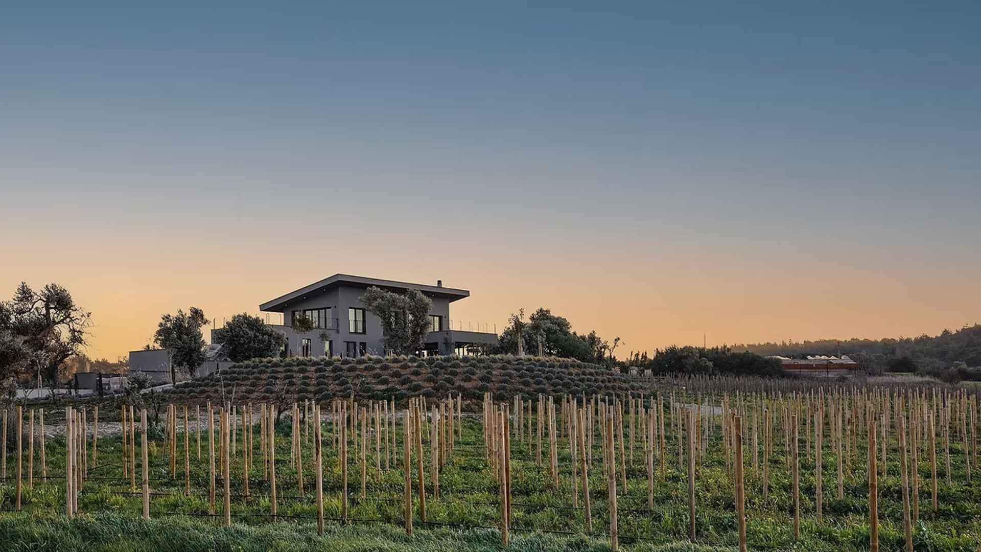 HUS Winery