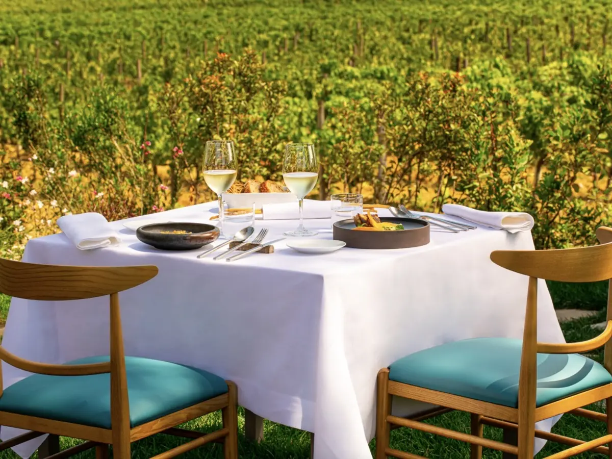 Sveti Martin Wines