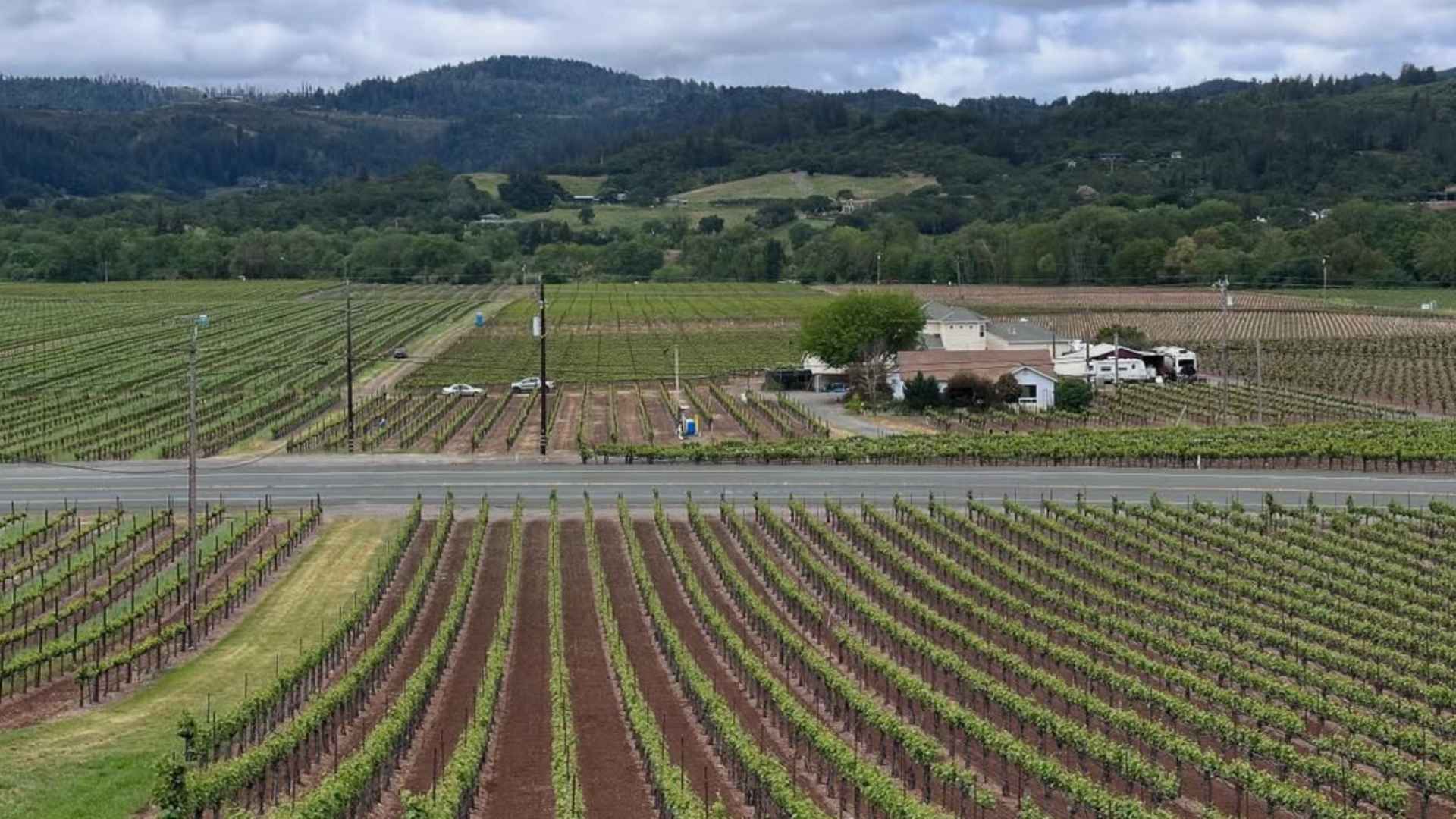 Optima Winery