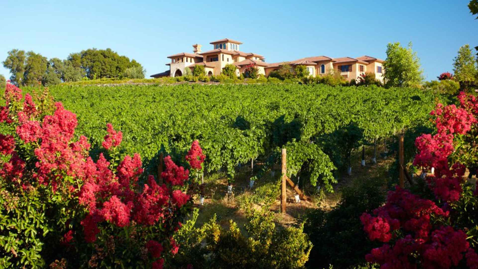 Wise Villa Winery