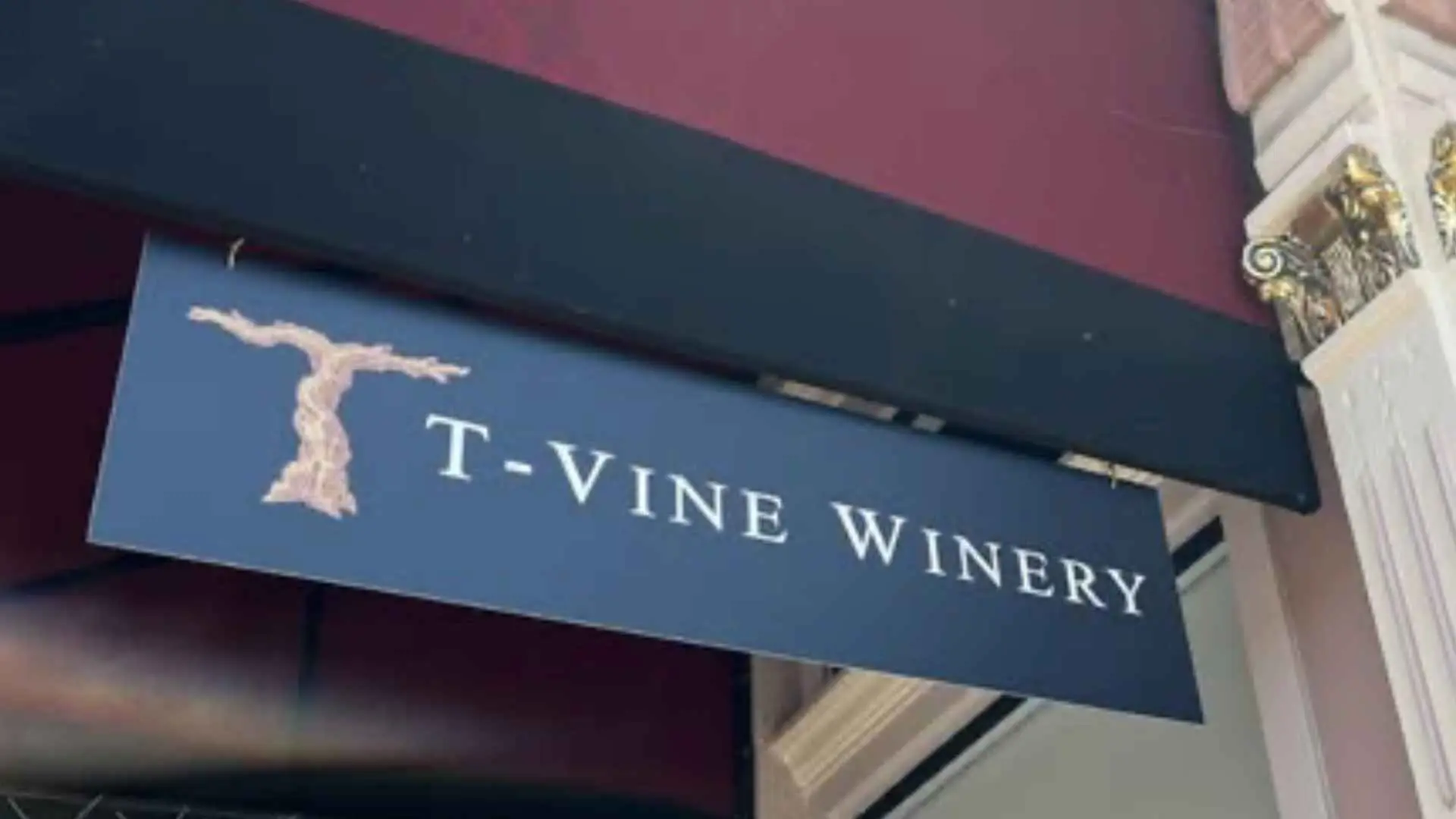 T-Vine Winery