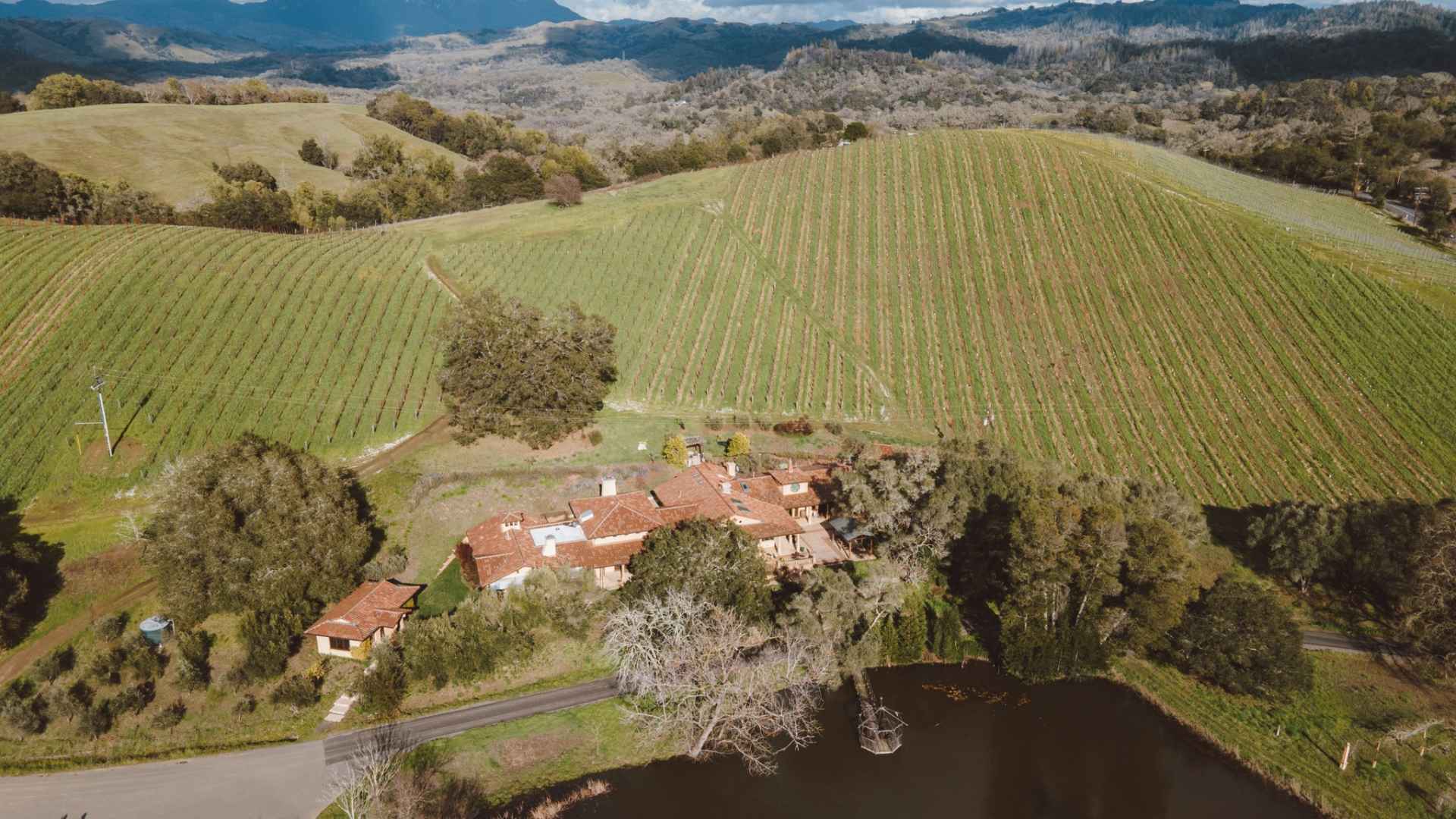 Acaibo Winery