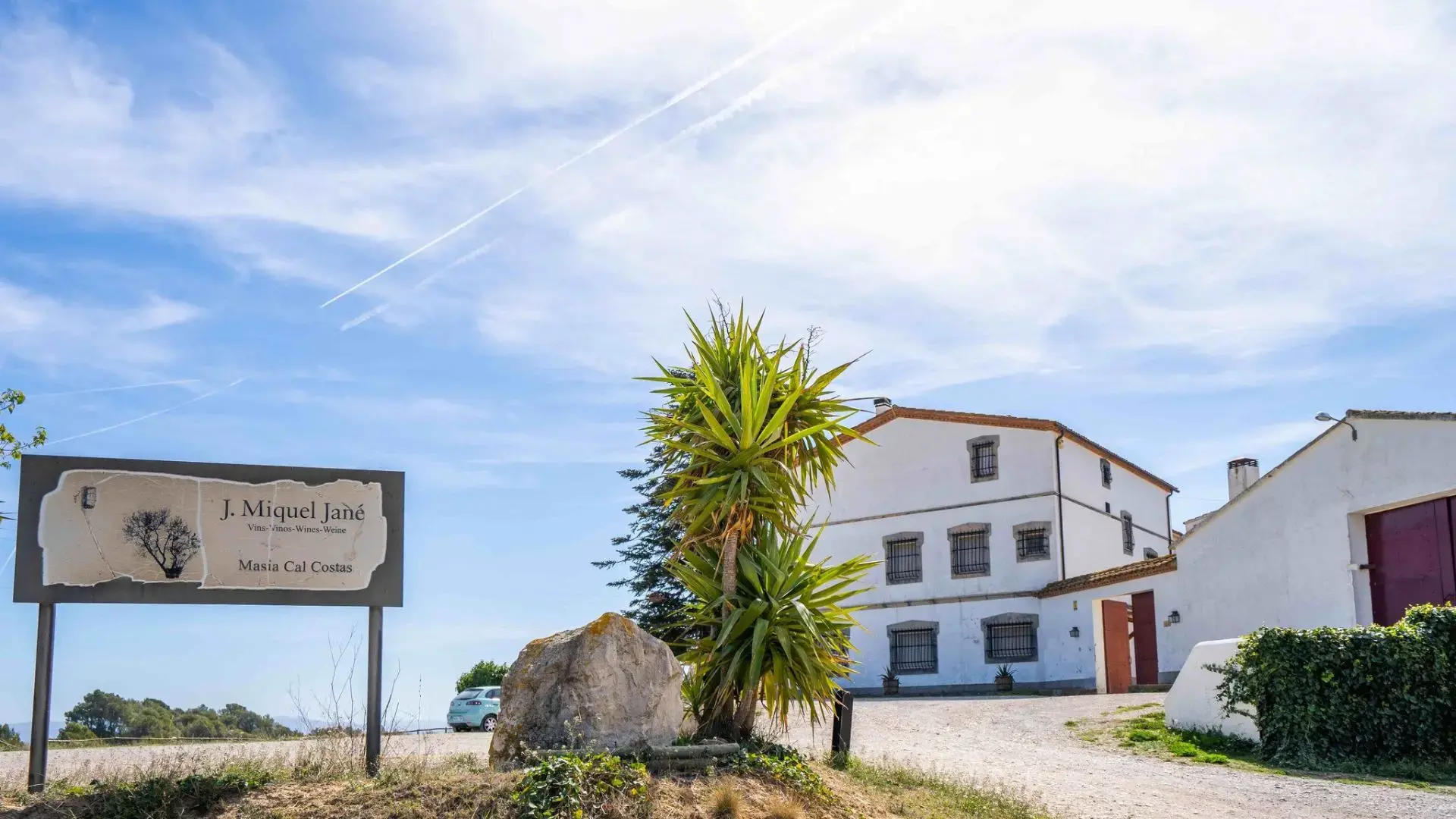 Bodega Miquel Jane