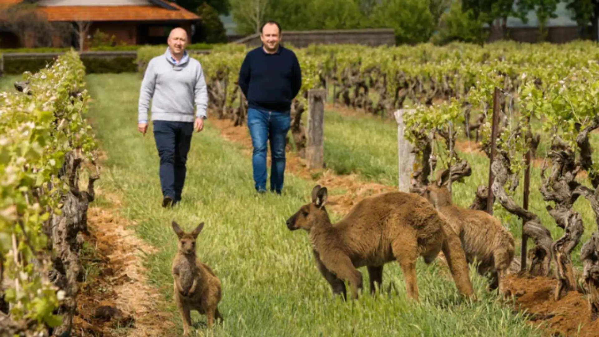 Elderton Wines