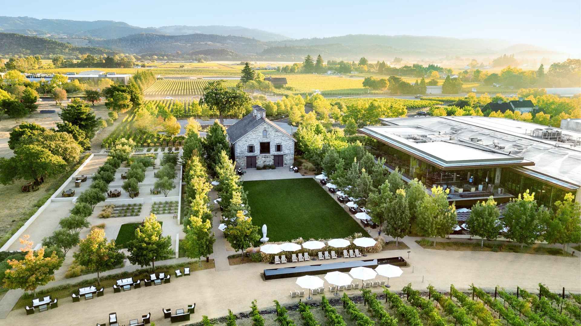 HALL Wines