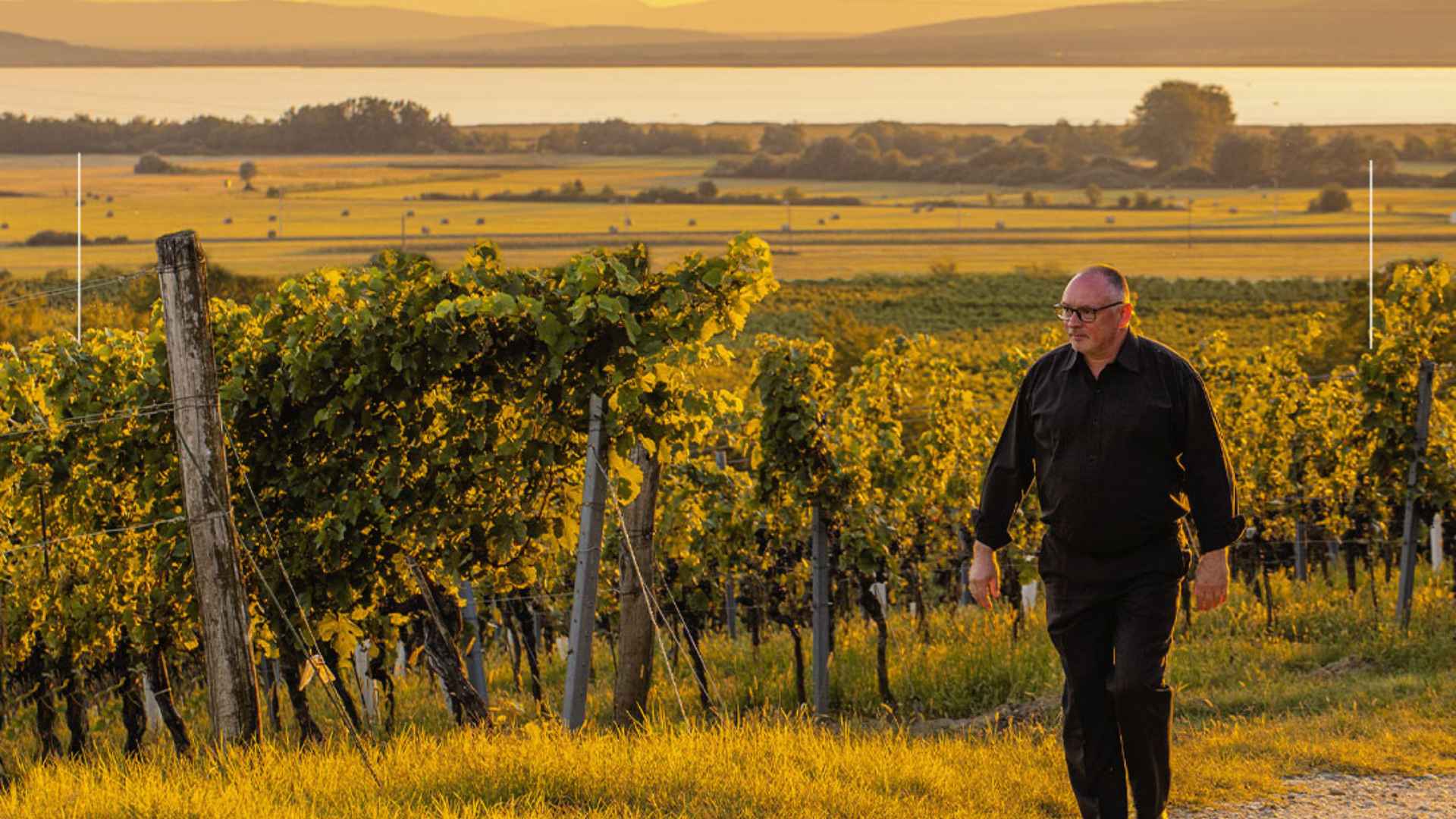 Sektkellerei Szigeti