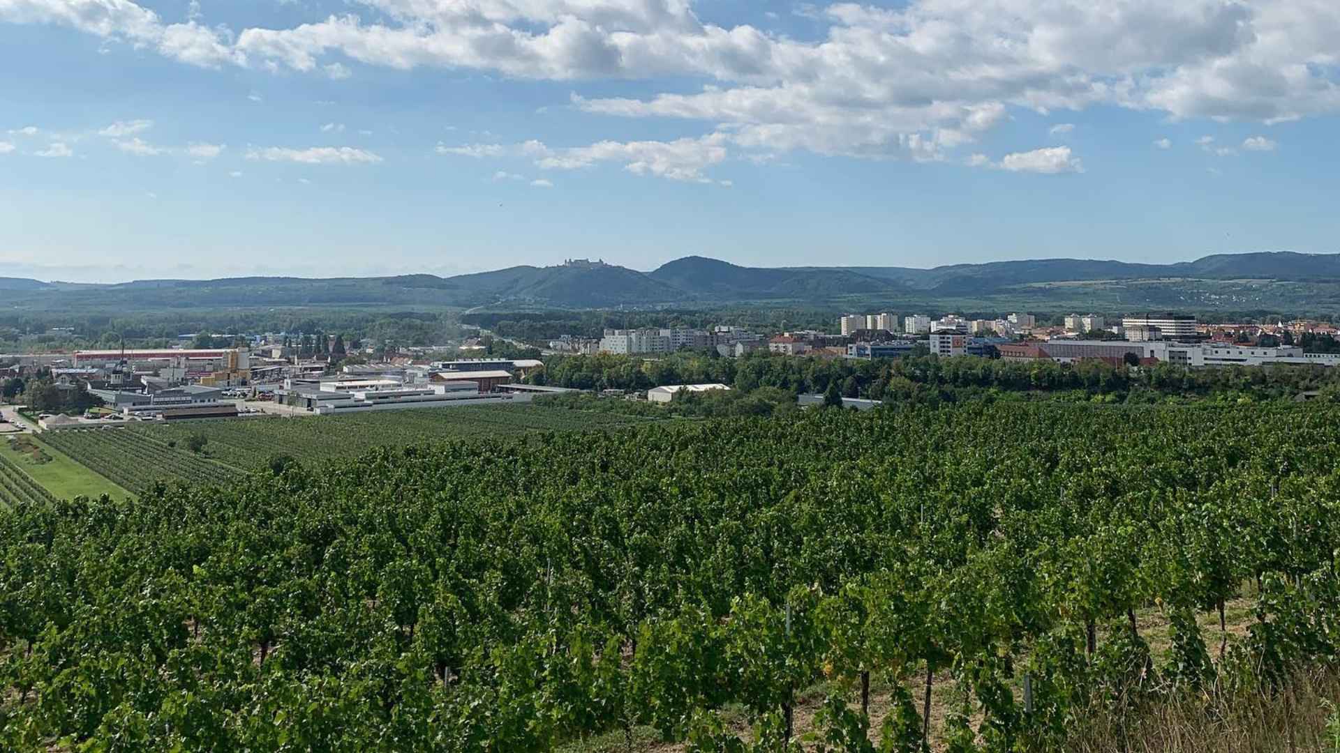 Wandraschek Weinmanufaktur