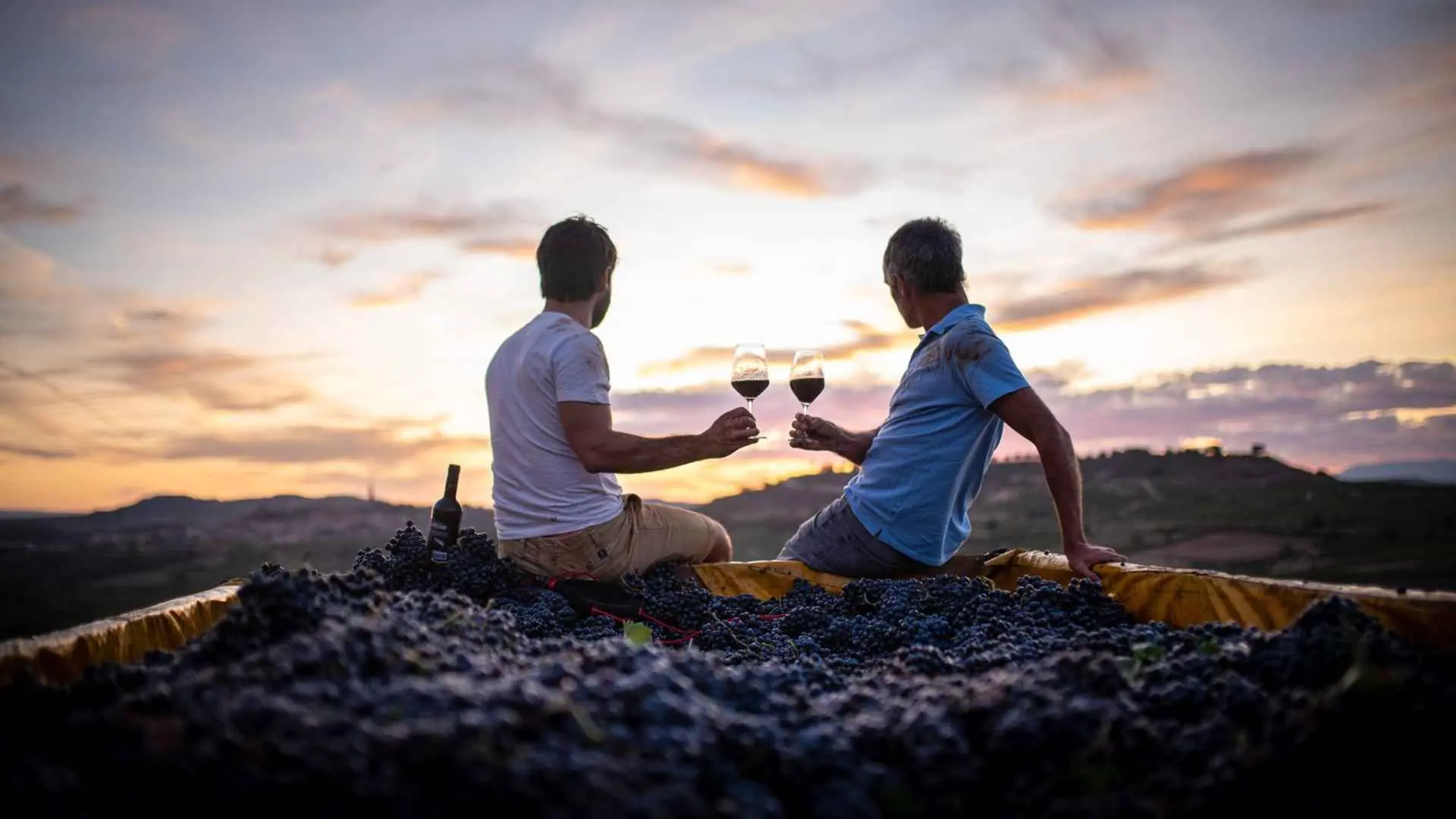 Hacienda Lopez de Haro Hacienda Lopez de Haro