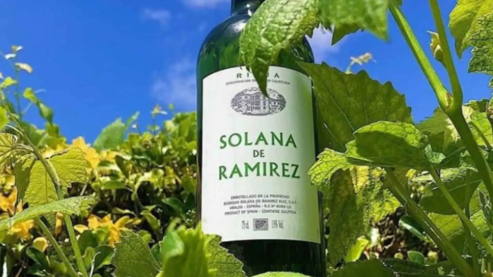 Bodegas Solana De Ramirez