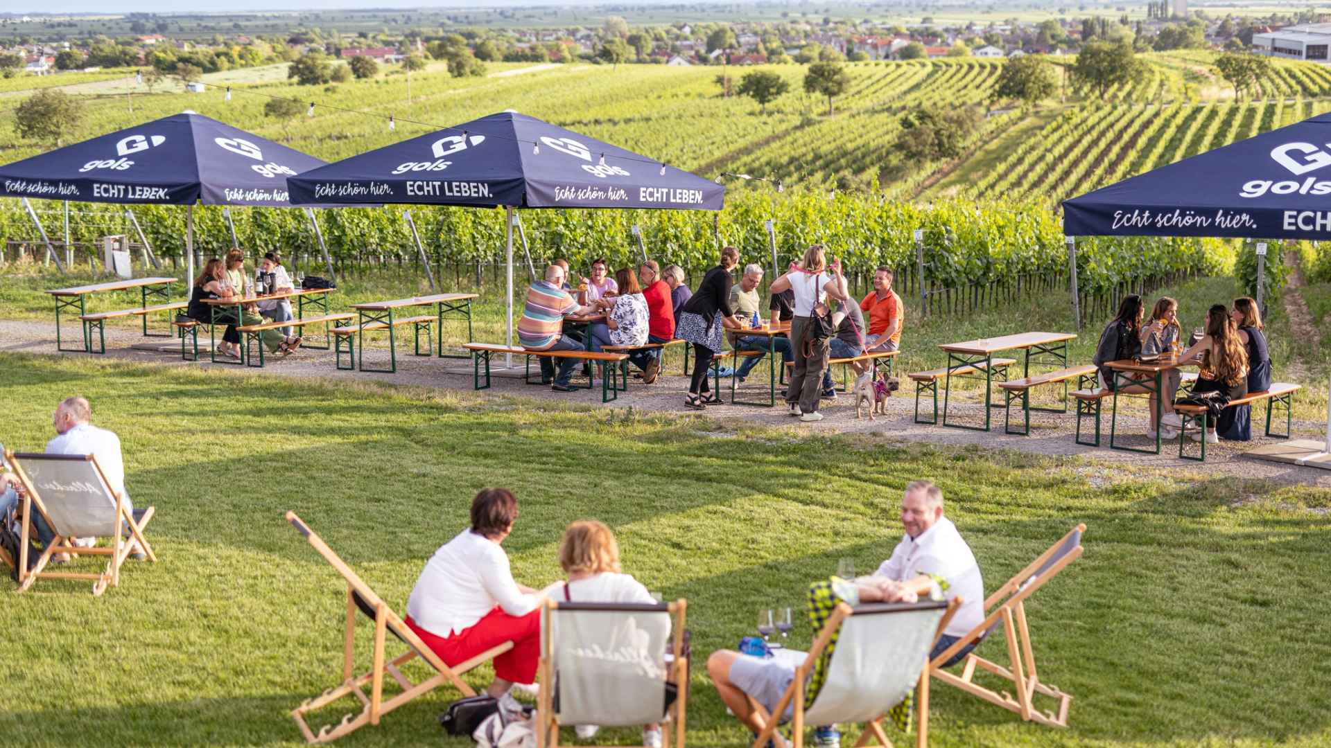 Allacher Vinum Pannonia