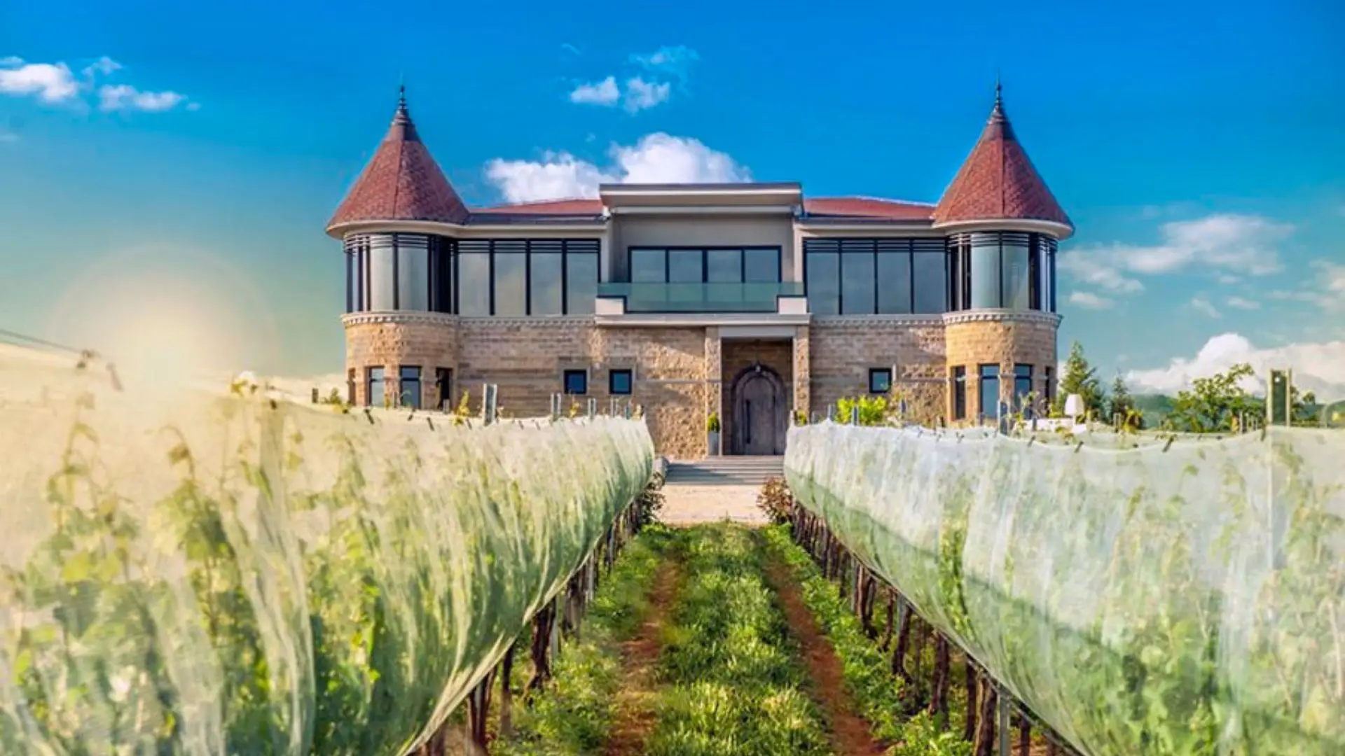 Chateau Kamnik - Hedonist 