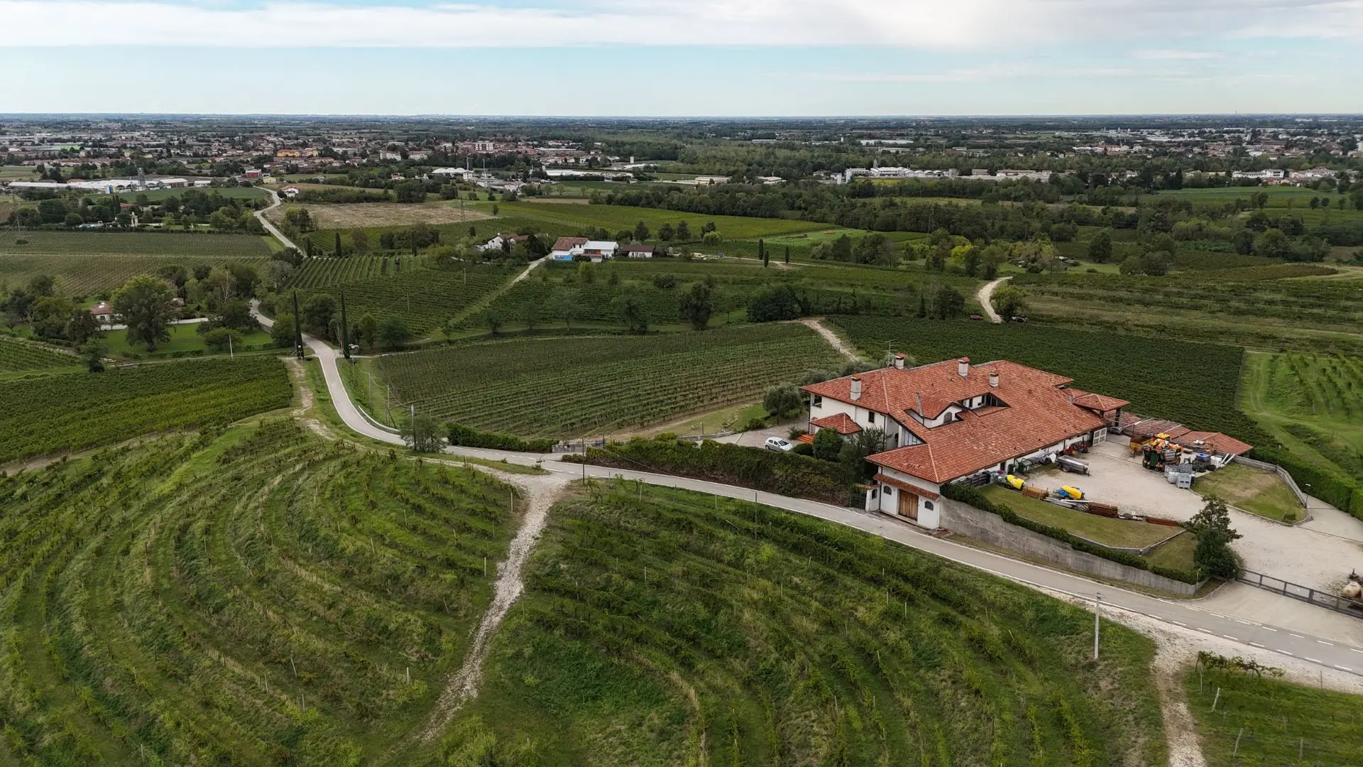 Azienda Cantarutti Alfieri 