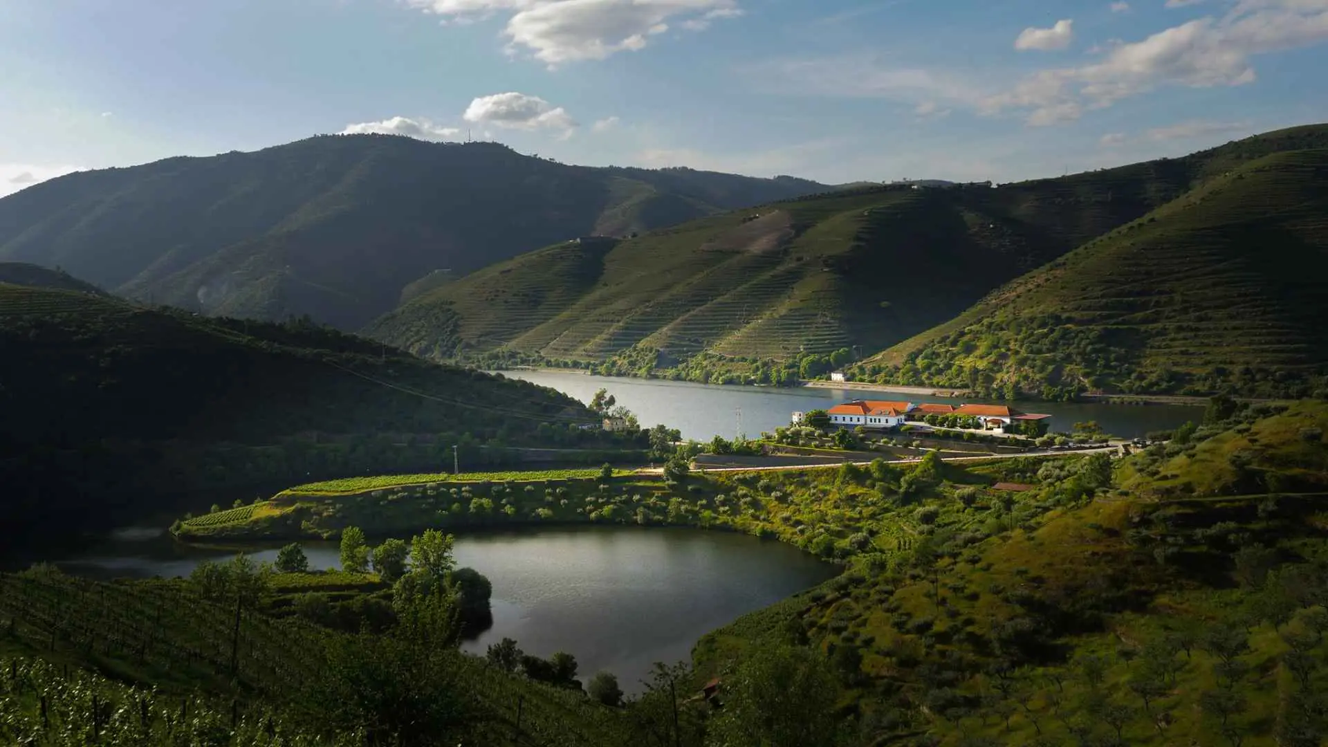 Quinta do Tedo