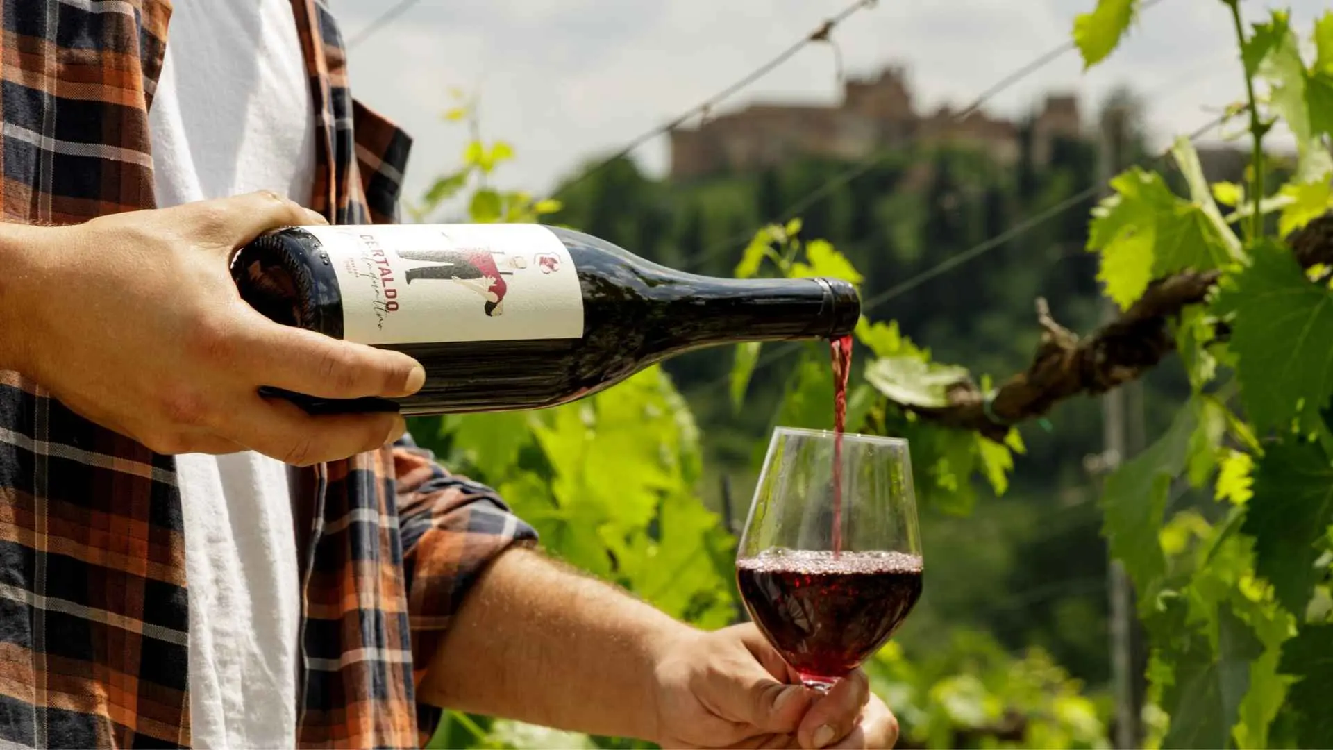 Barsacchi Gori Winery