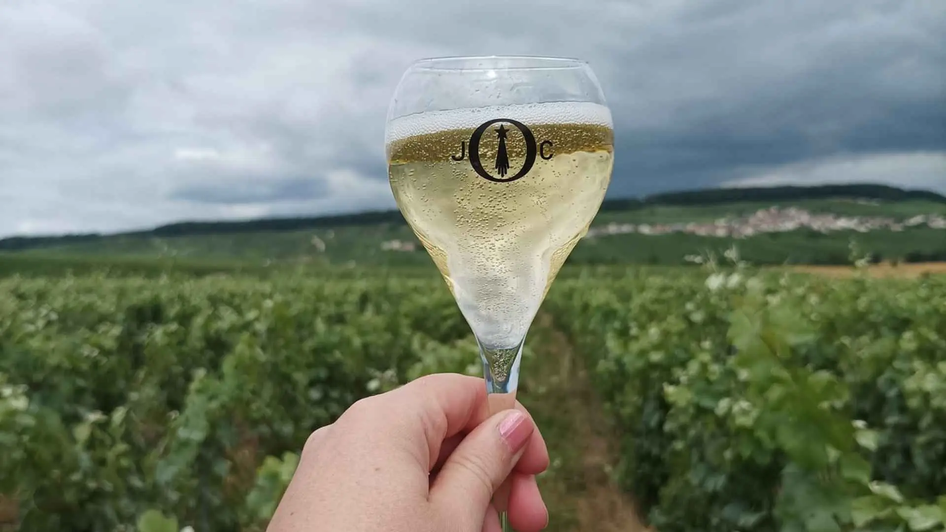 Domaine Julien Chopin Domaine Julien Chopin