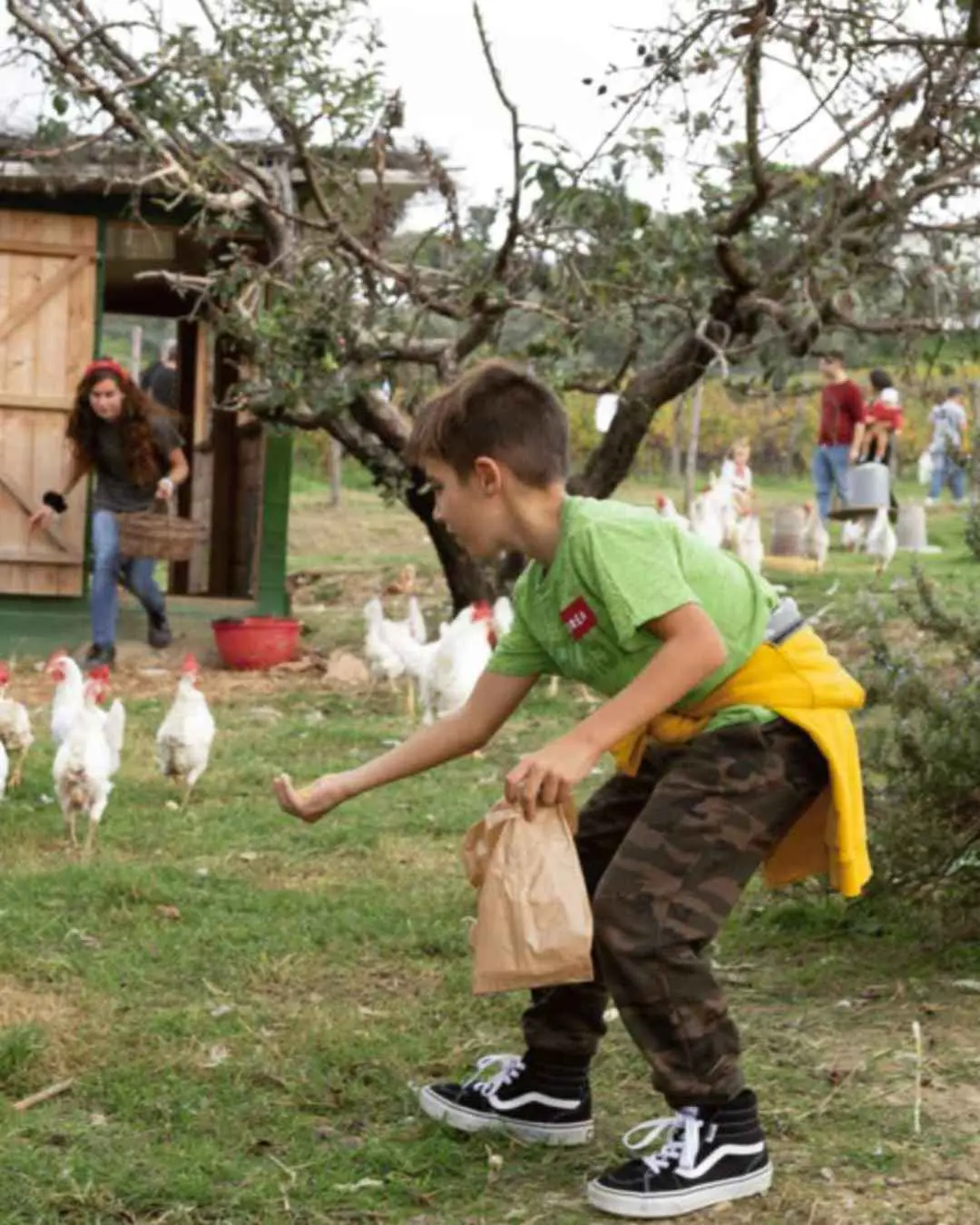 Fattoria San Michele a Torri - Live the Farm Fattoria San Michele a Torri - Live the Farm