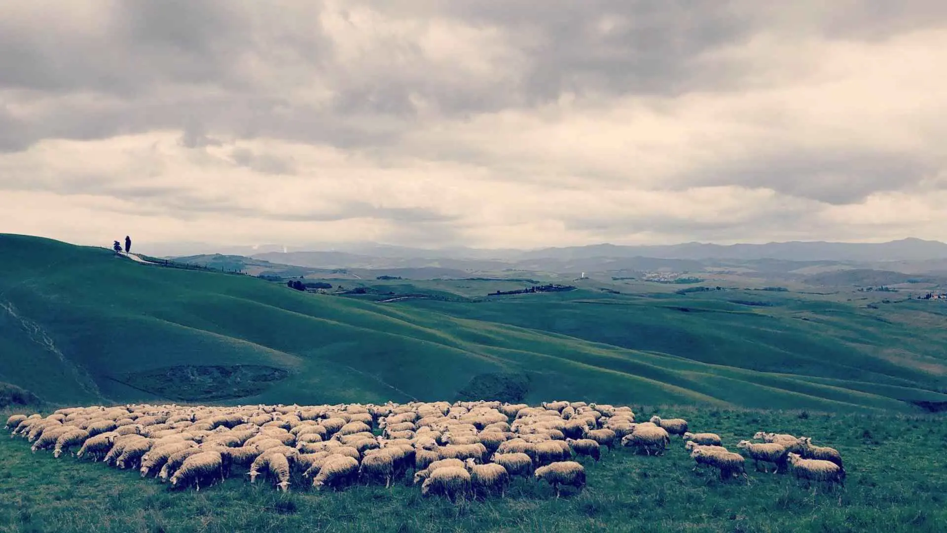Tuscany Wine Hiking Chianti Classico Day Tuscany Wine Hiking Chianti Classico Day