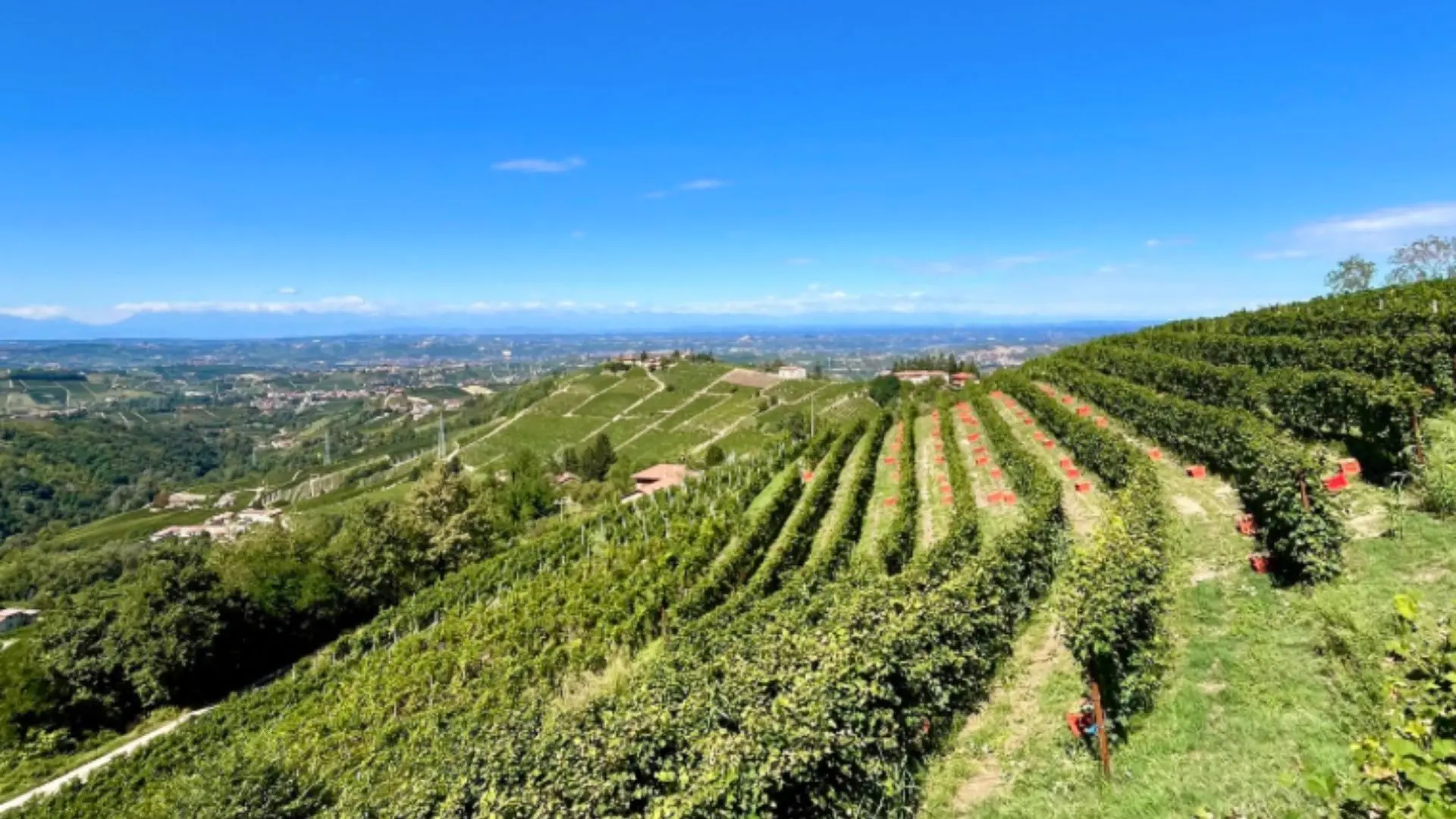 Massimo Rivetti: Tasting of 3 Wines in Neive’s Historic Center Massimo Rivetti: Tasting of 3 Wines in Neive’s Historic Center
