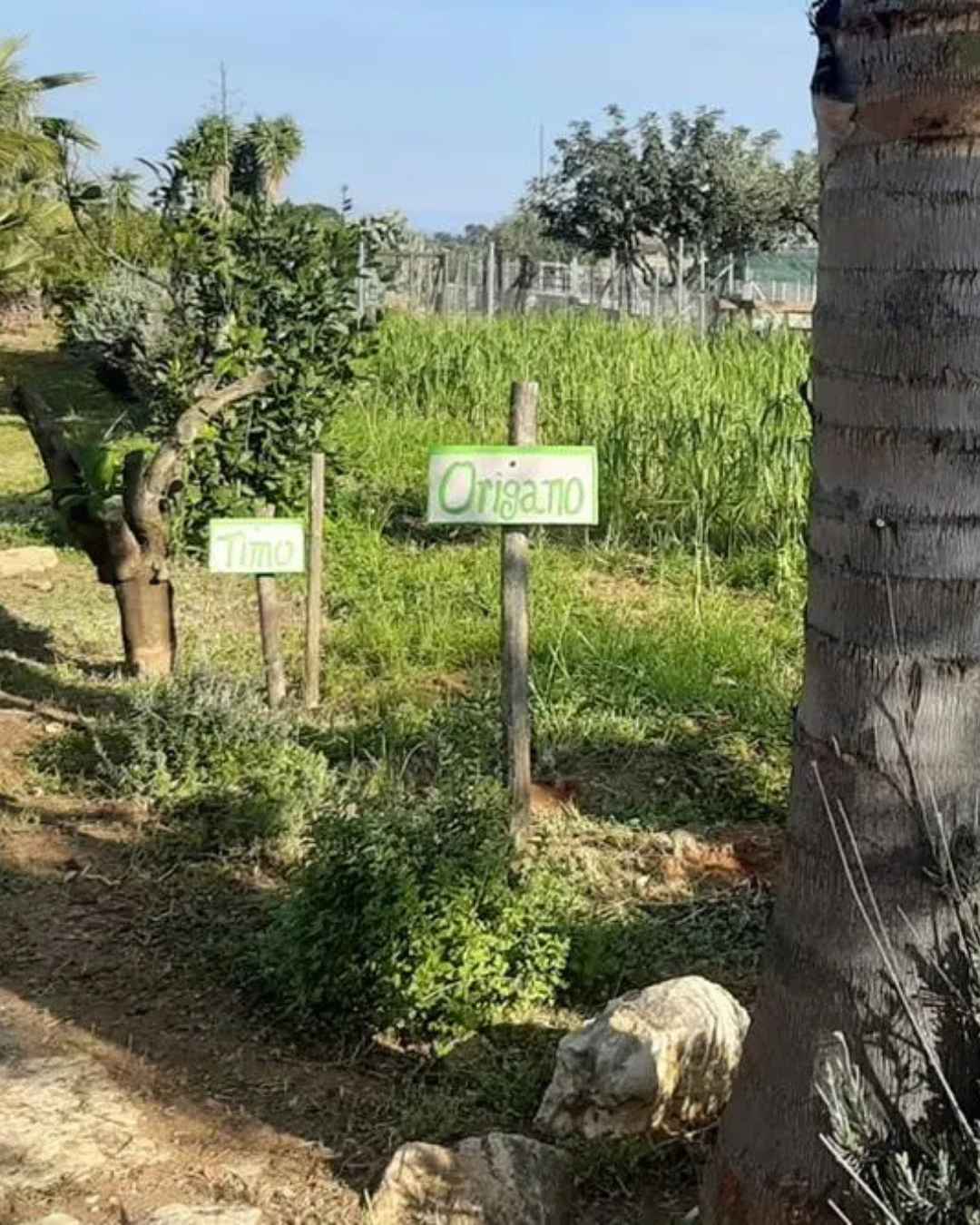 Augustali Winery: The Wines in the Land of Frederick II Augustali Winery: The Wines in the Land of Frederick II