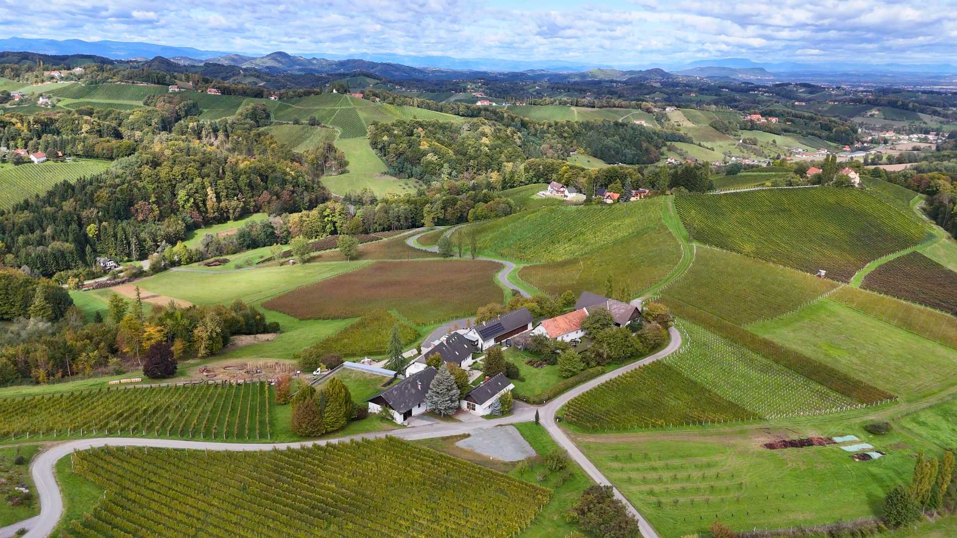 Weingut Lackner Tinnacher Weingut Lackner Tinnacher