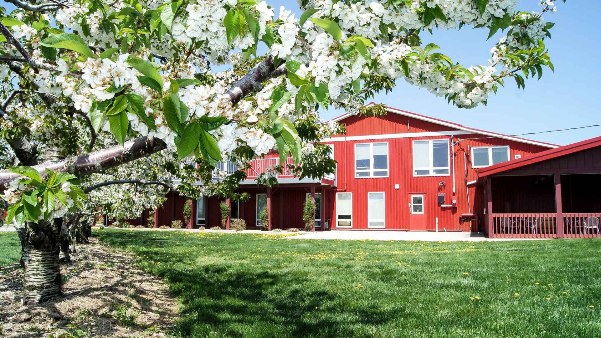 Pillitteri Estates Winery Pillitteri Estates Winery