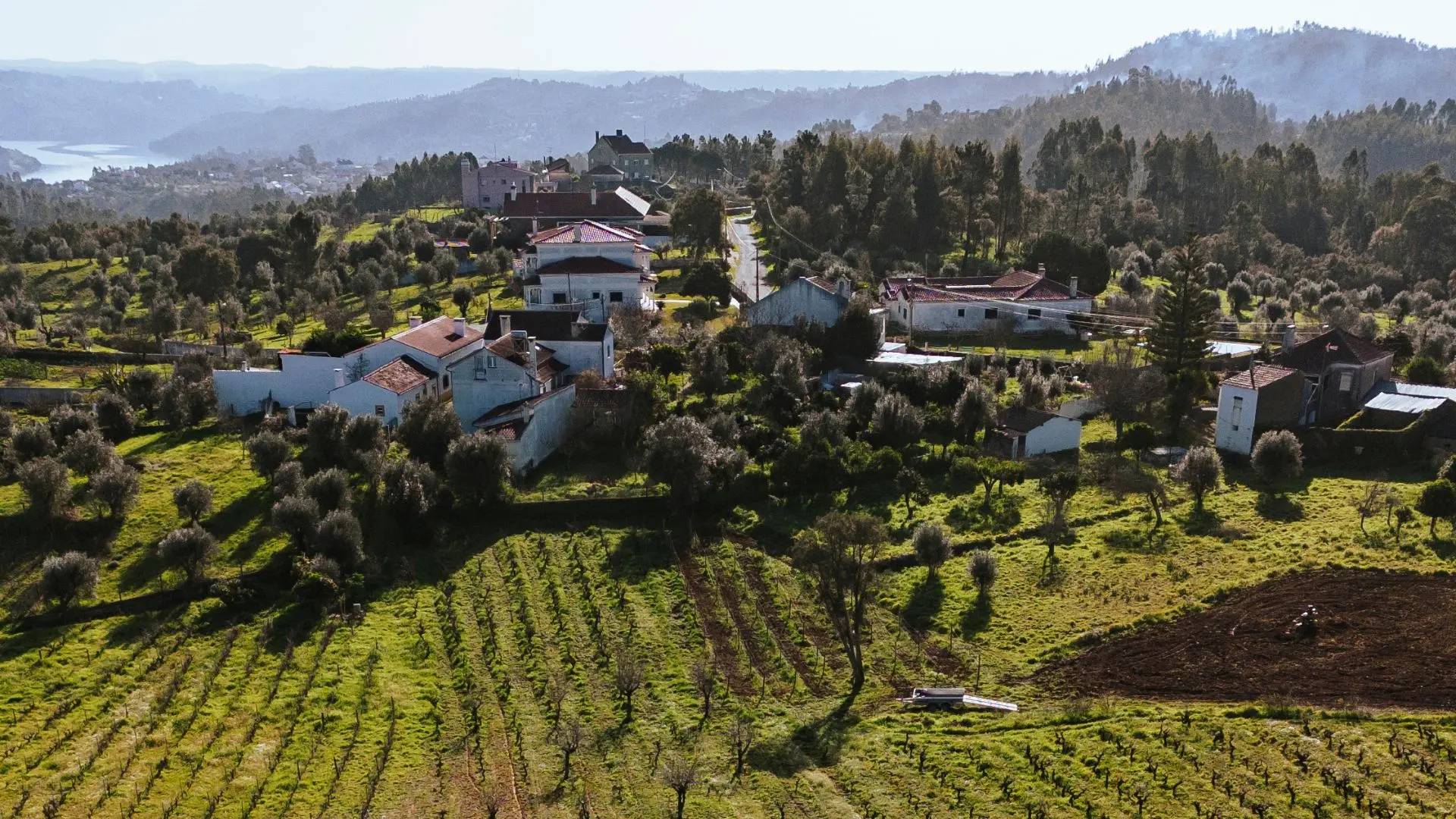 Adega da Gaveta Adega da Gaveta