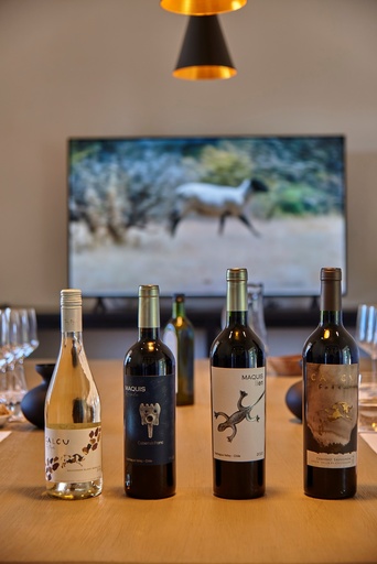 Chile, Colchagua Valley, Maquis Wines - Emblem Tour