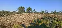 Portugal, Bairrada, Prior Lucas Wines - GASTRONOMIC EXPERIENCE IN THE PRIOR VINEYARD