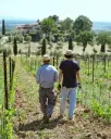 Italy, Tuscany, Tenuta Querciamatta - Tastes in the field