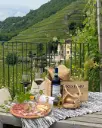 Italy, Lombardy, Casa Vinicola Triacca - Tenuta La Gatta - Picnic in the Vineyard