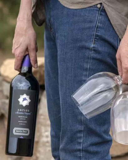 Chile, Maipo Valley, Santa Ema - Tour Premium Amplus