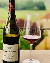 France, Burgundy, Château de Chamirey - Discovery tasting