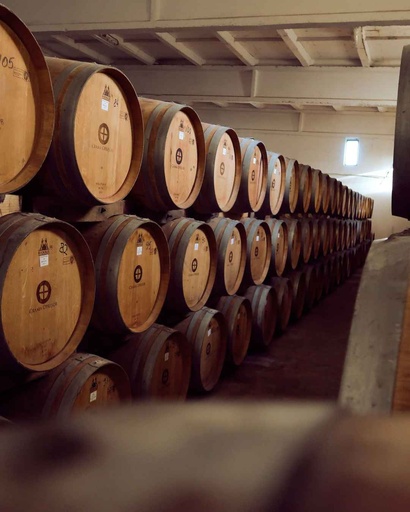 Romania, Oltenia, Crama Oprisor - Vineyards & Winery tour and tasting 6 wines