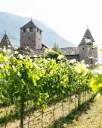Italy, Trentino - Alto Adige, Kellerei Bozen - Cantina Bozen - Guided tour and wine tasting