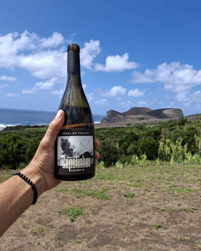 Portugal, Azores, Adega do Vulcao - Adega dos Capelinhos, Faial - Premium Tasting