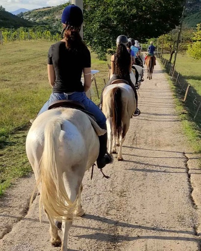 Italy, Veneto, Cantine Giacomo Montresor - Equestrian walk and Wine Tasting