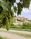 montefioralli1.webp